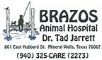 Brazos Animal Hospital