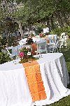 Summer House