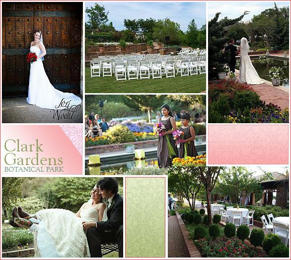 Wedding and Reception