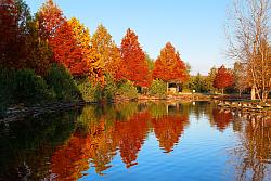 Fall photo by Paul Valentine