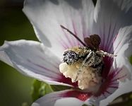 photo by Andy Dillard