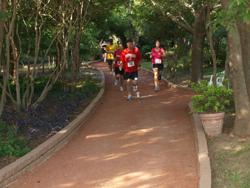 2010 fall festival run