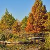 fall
