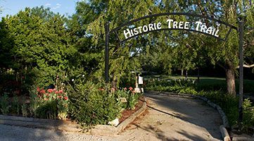 Historic Tree Trail Entrance