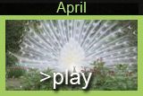 April Video