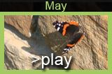 May Video