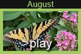 August in Clark Gardens