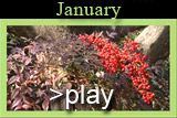 January at Clark Gardens