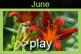 June in Clark Gardens