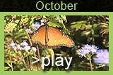 October Video