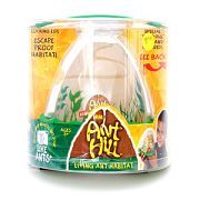 Ant Hill