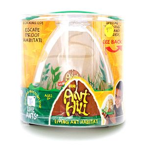 Ant Hill