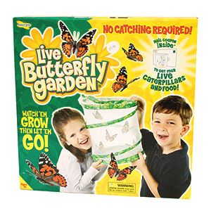 Butterfly Garden