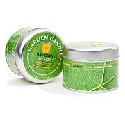 Amazon Lights Candle