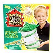Praying Mantis Pagoda
