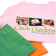 Clark Gardens Ladies T-Shirt